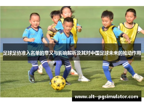 足球足协准入名单的意义与影响解析及其对中国足球未来的推动作用