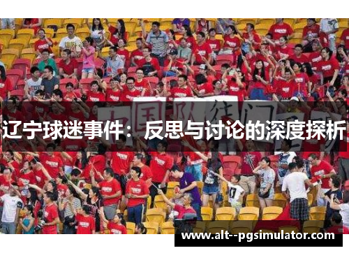 辽宁球迷事件：反思与讨论的深度探析