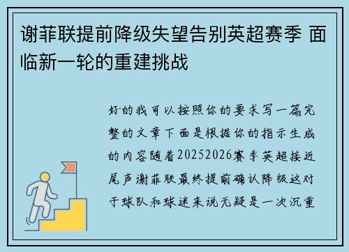 谢菲联提前降级失望告别英超赛季 面临新一轮的重建挑战